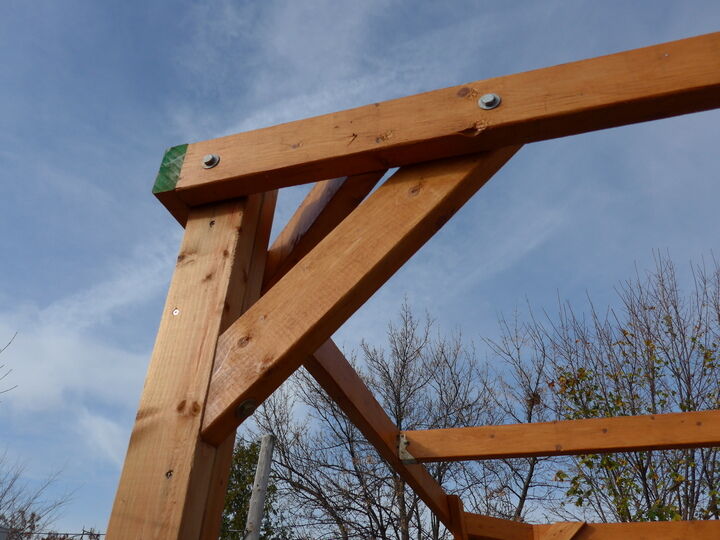 pergola2